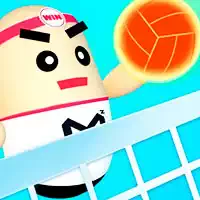 3d_amazing_volleyball ເກມ