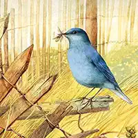 art_birds_puzzle ហ្គេម