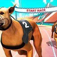 Crazy Dog Racing Fever