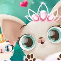 hollywood_fashion_pets Juegos