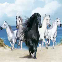 horses_puzzle গেমস