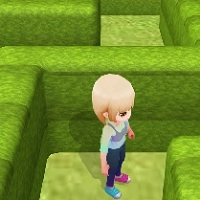 maze_escape_3d Oyunlar