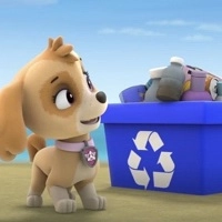 paw_patrol_beach_cleaning Oyunlar