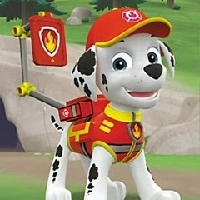 Paw Patrol Aan de Slag met Sorteren