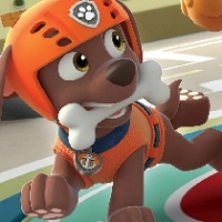 paw_patrol_zuma Giochi