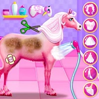 princess_horse_caring Gry