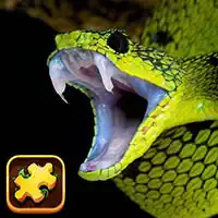 snake_puzzle_challenge Hry