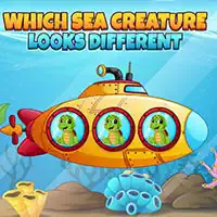 which_sea_creature_looks_different Giochi