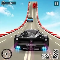 wild_race_master_3d เกม