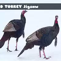 wild_turkey_jigsaw Тоглоомууд