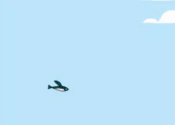 Flappy Flying Fish snímek obrazovky hry